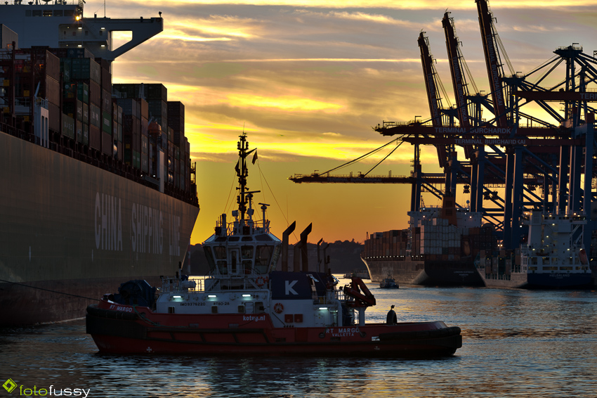 CSCL STAR am Eurokai 4/4