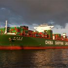 CSCL VENUS