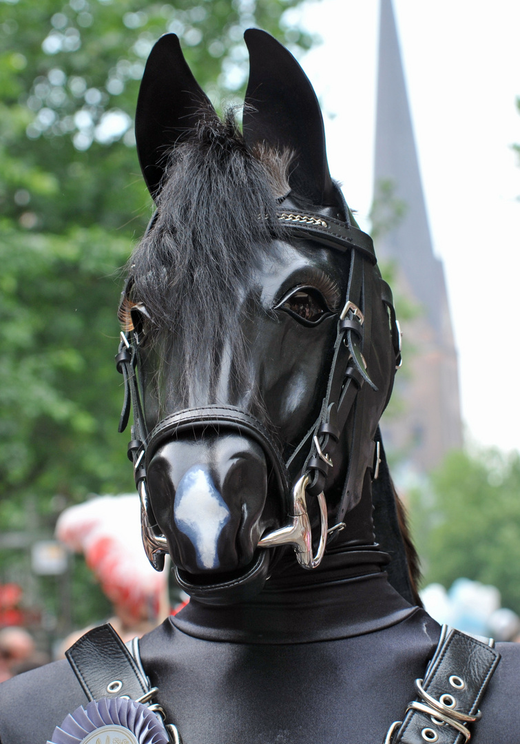 CSD 2009 # 2