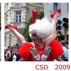 CSD 2009, München