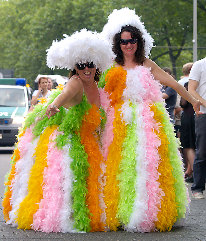 CSD 2009 V