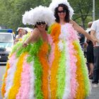 CSD 2009 V