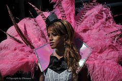 CSD 2010