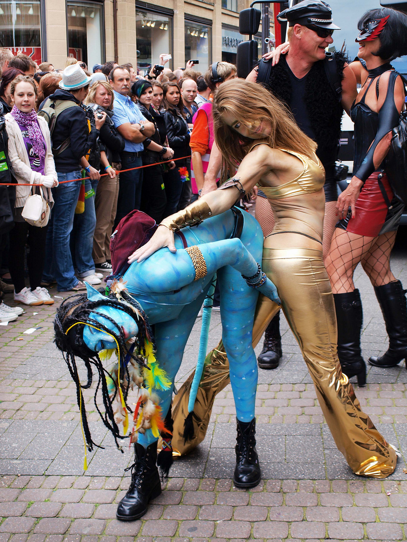 Csd 2011 No 3