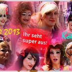 CSD-2013