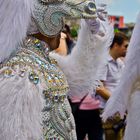 CSD 2013 White Horse