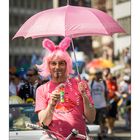 CSD FFM 2015 #11