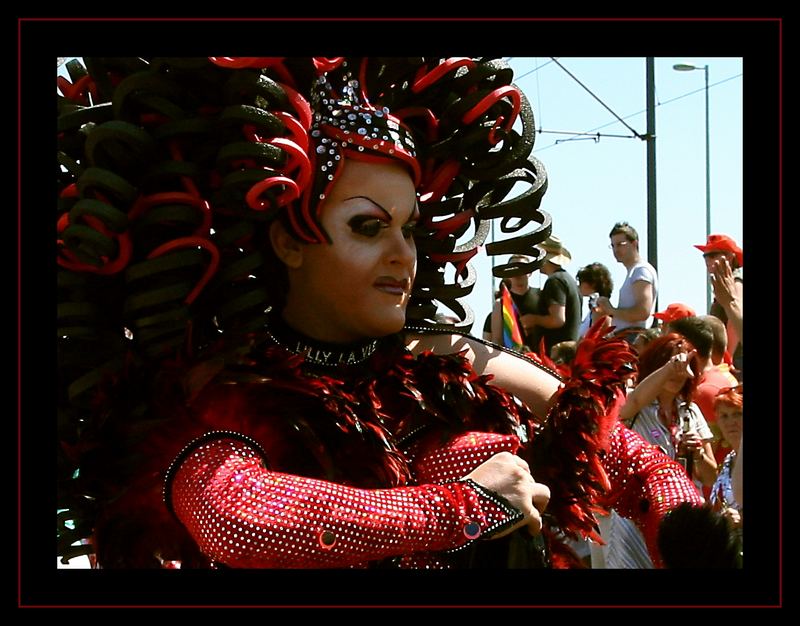 csd kölle 2006