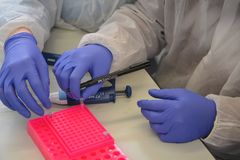 CSI-Mainhattan: Vorarbeit für den genetischen Fingerabdruck