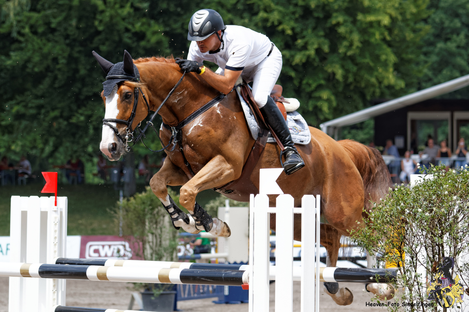 CSI Pforzheim 2014 Eröffnungsspringen