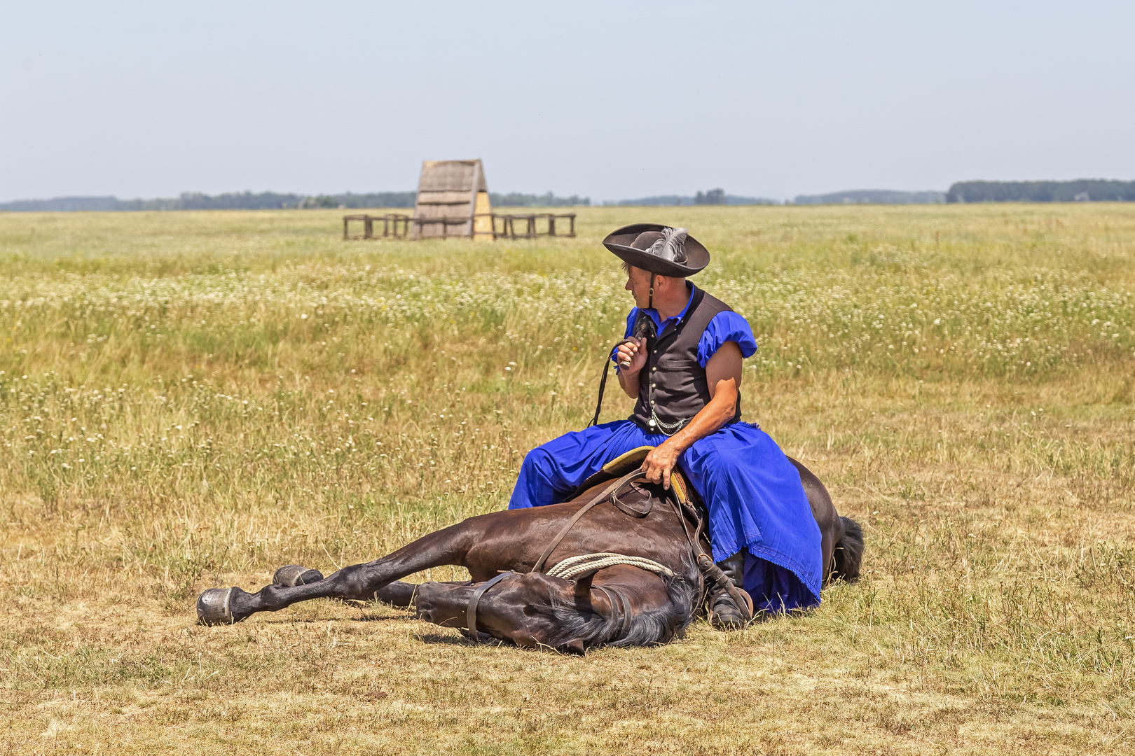 Csikós beherrscht das Pferd