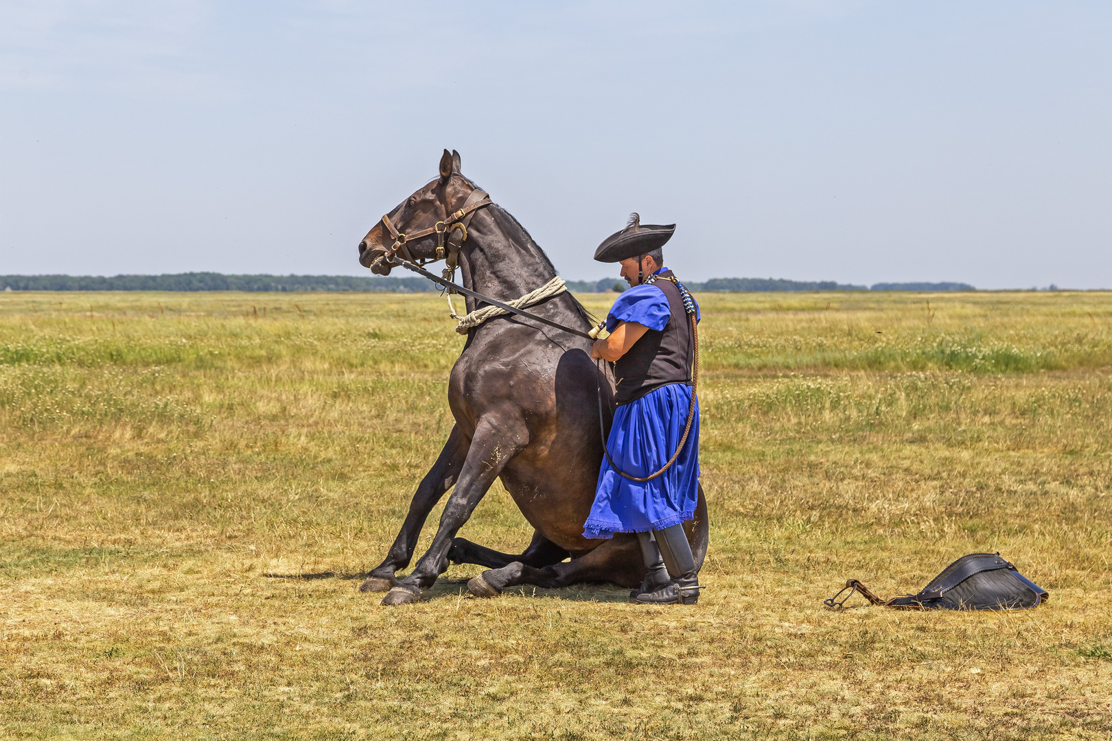 Csikós kontrolliert das Pferd