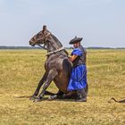 Csikós kontrolliert das Pferd