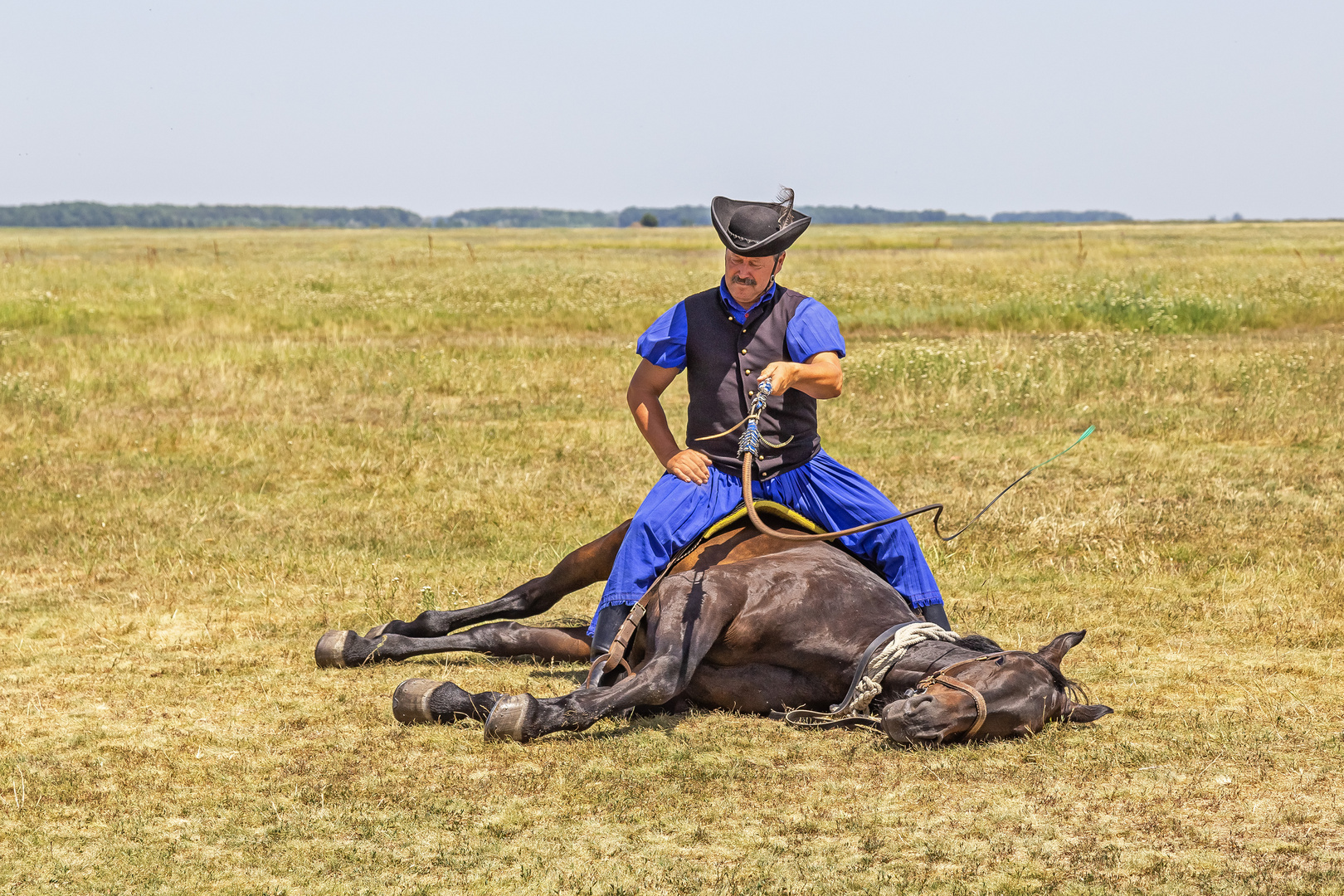 Csikós mit Pferd