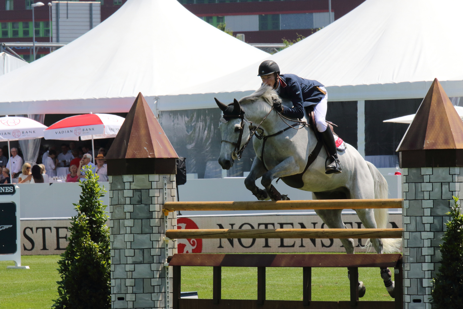 CSIO Schweiz St.Gallen 2015