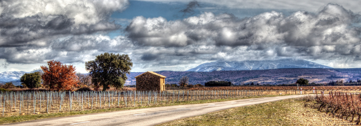 CÔTE DU RHÔNE 