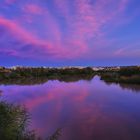 CUANDO EL CIELO SE VISTE DE COLORES