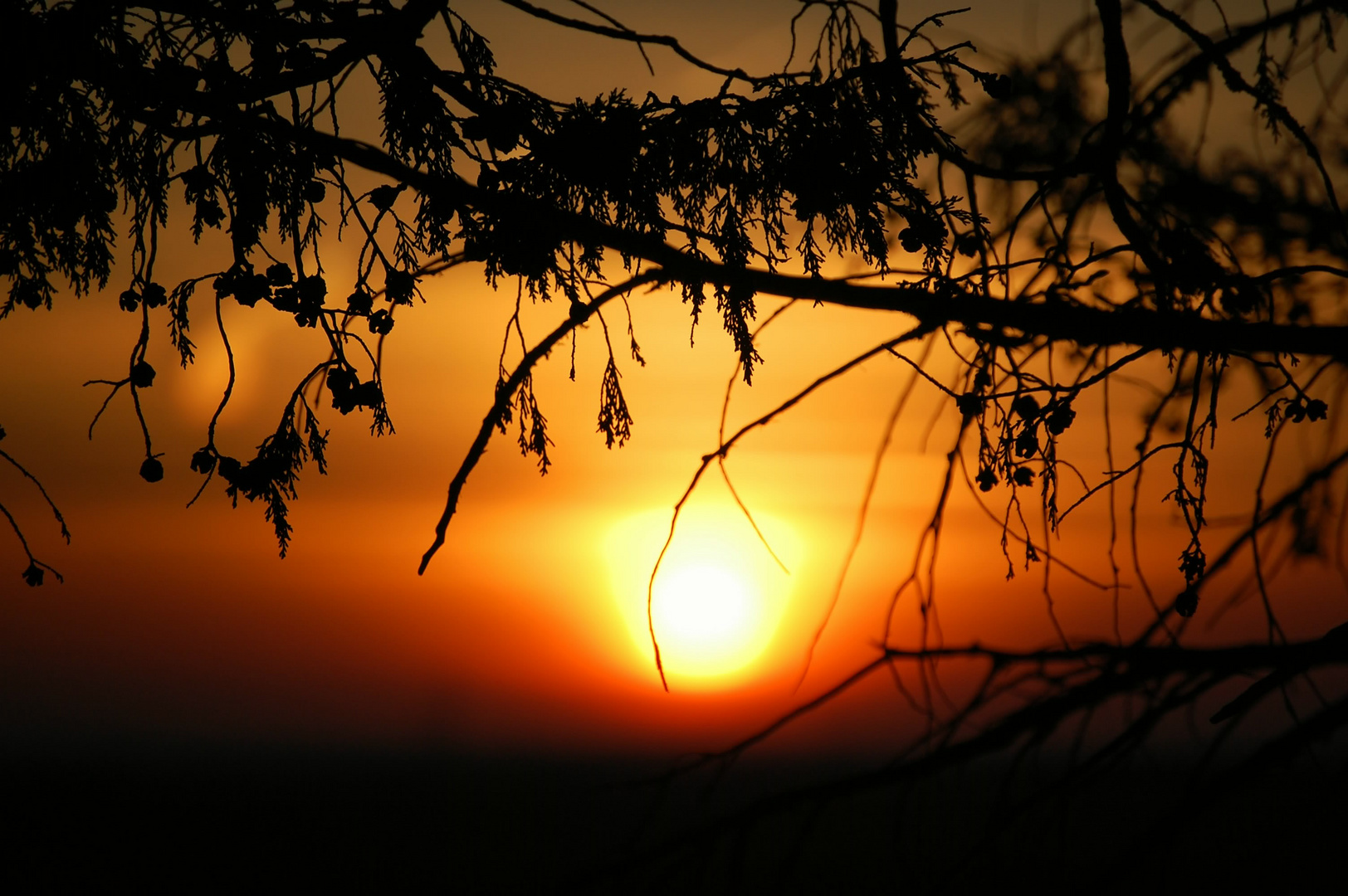 Cuando el sol se oculta