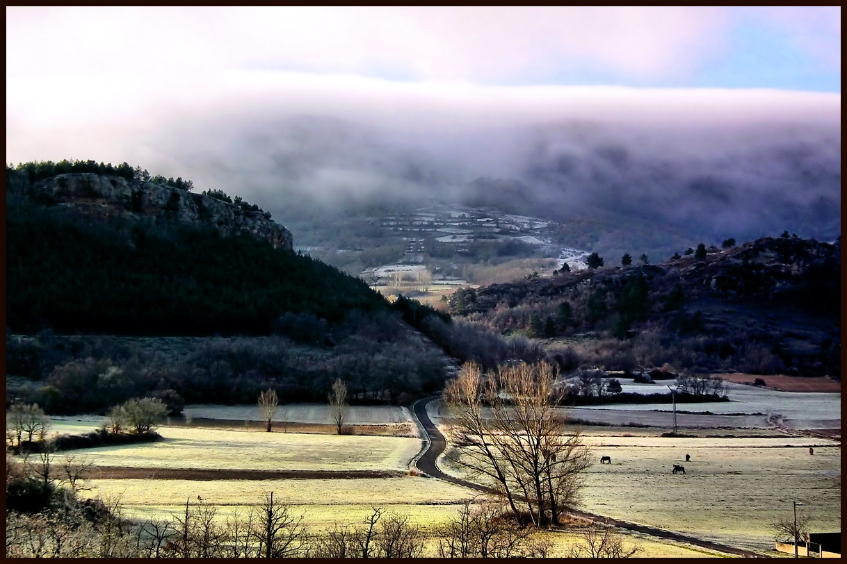 Cuando la niebla se acerca...