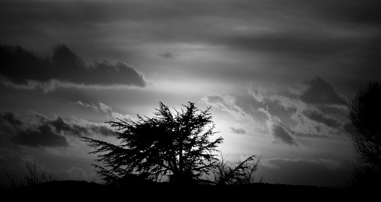 ...cuando llega la noche...