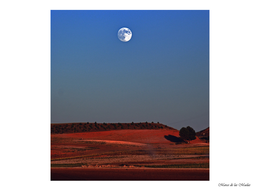 ...cuando salga la luna 2...