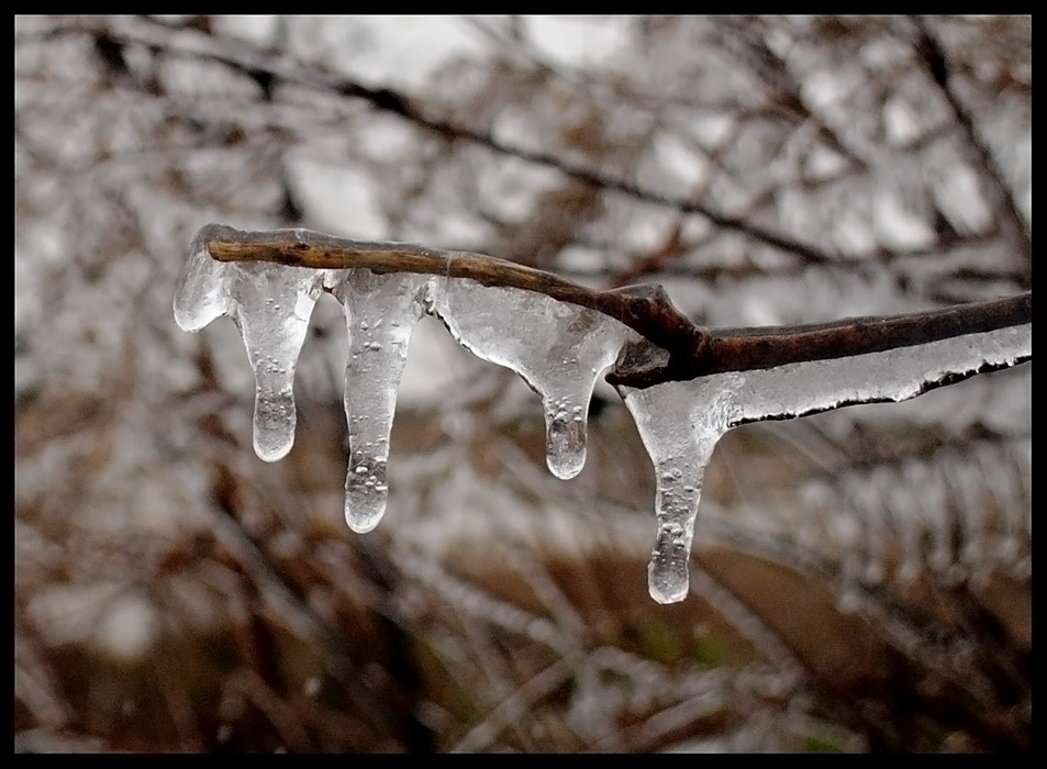 Cuanto el invierno muestra sus dientes