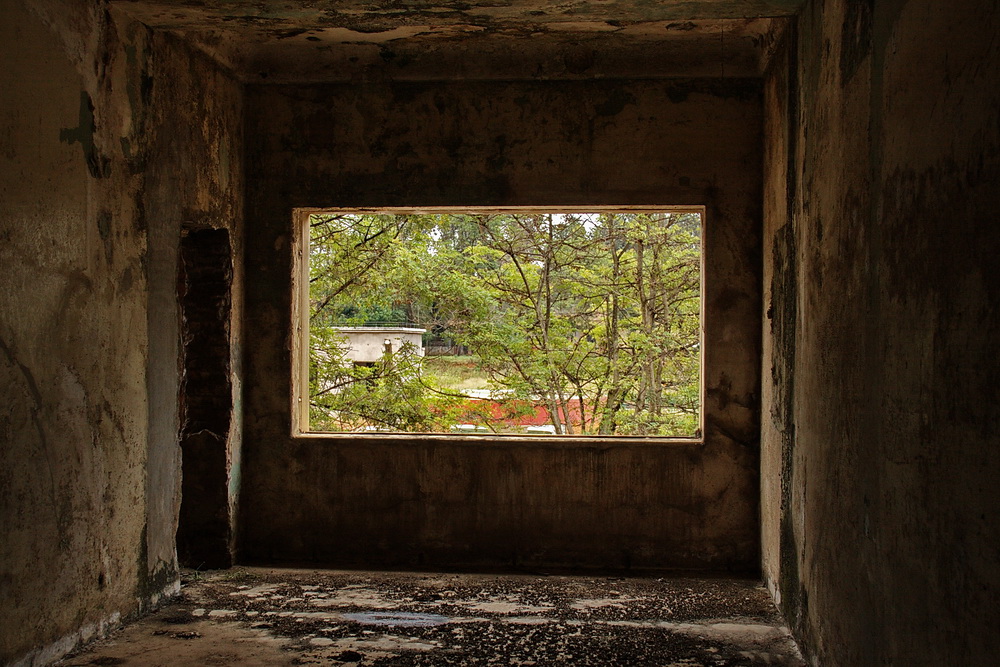 Cuarto con vista sobre el jardín