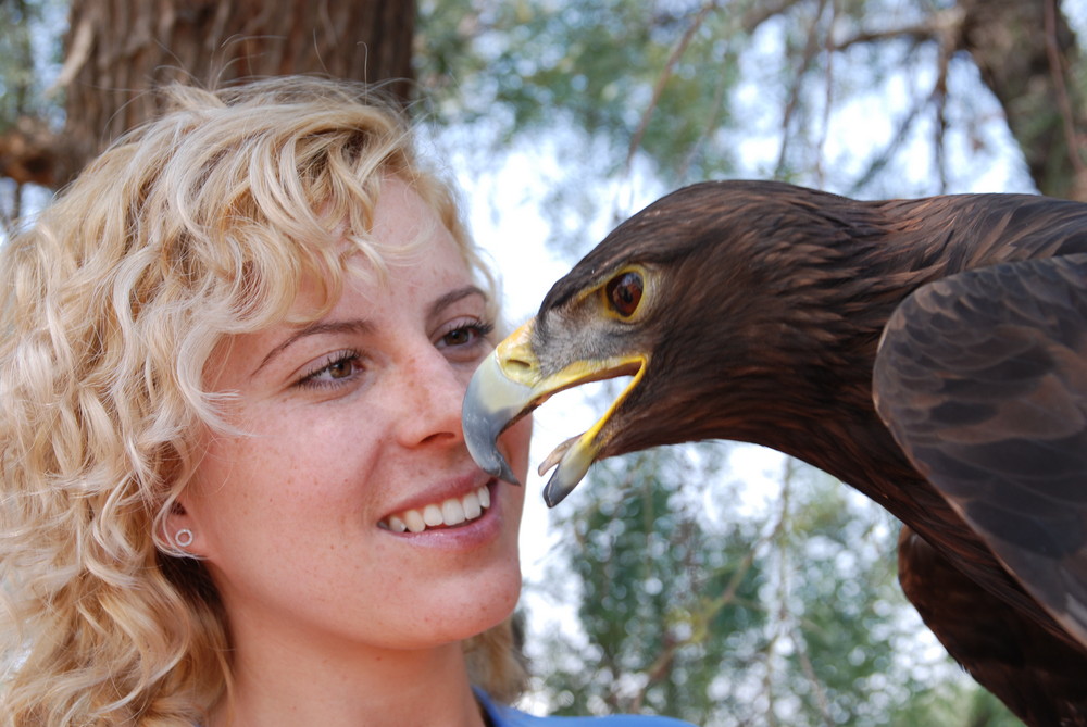 Cuautli (Aguila)