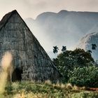 Cuba (2000), Valle de Viñales