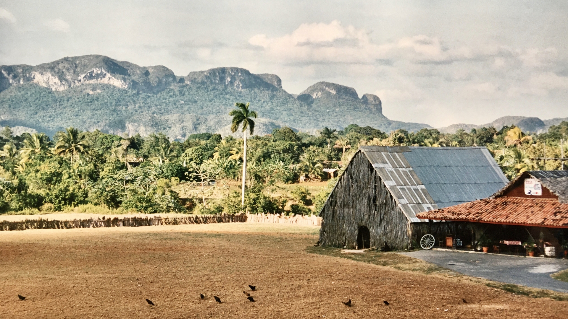 Cuba (2000), Valle de Viñales