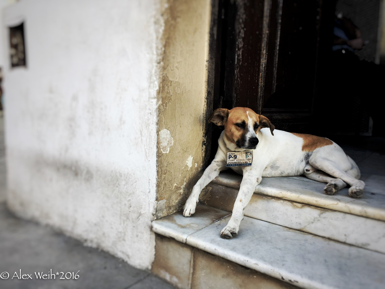 Cuba 2016