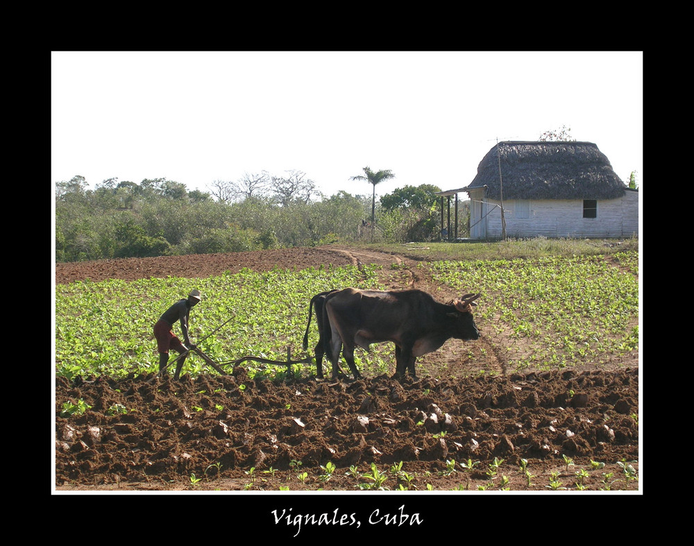 CUBA