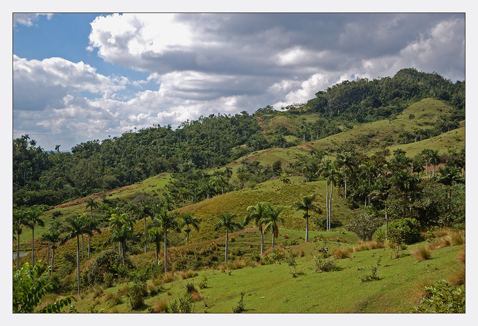 Cuba -8 * Vinales