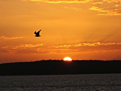 Cuba at sunset...