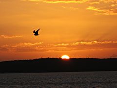 Cuba at sunset