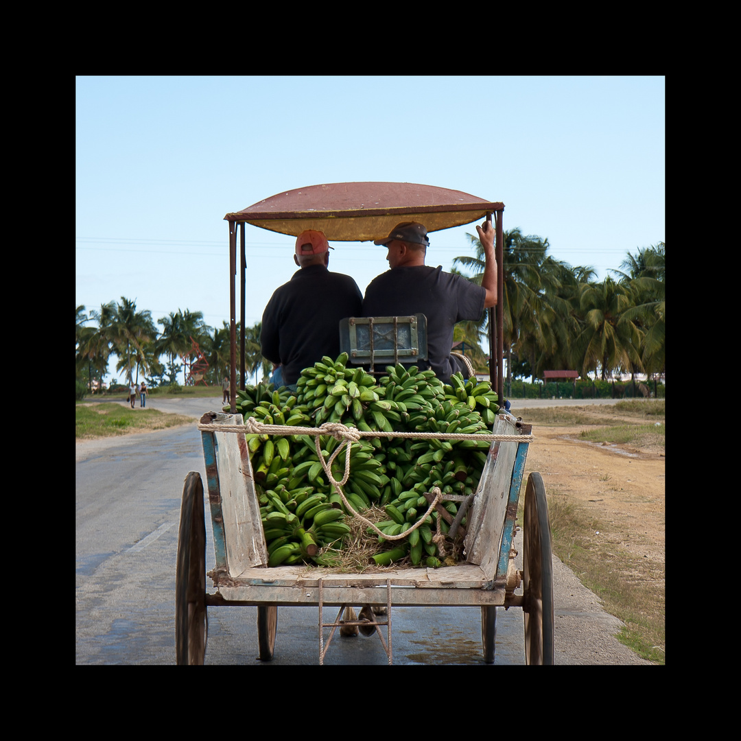 Cuba Banana Express