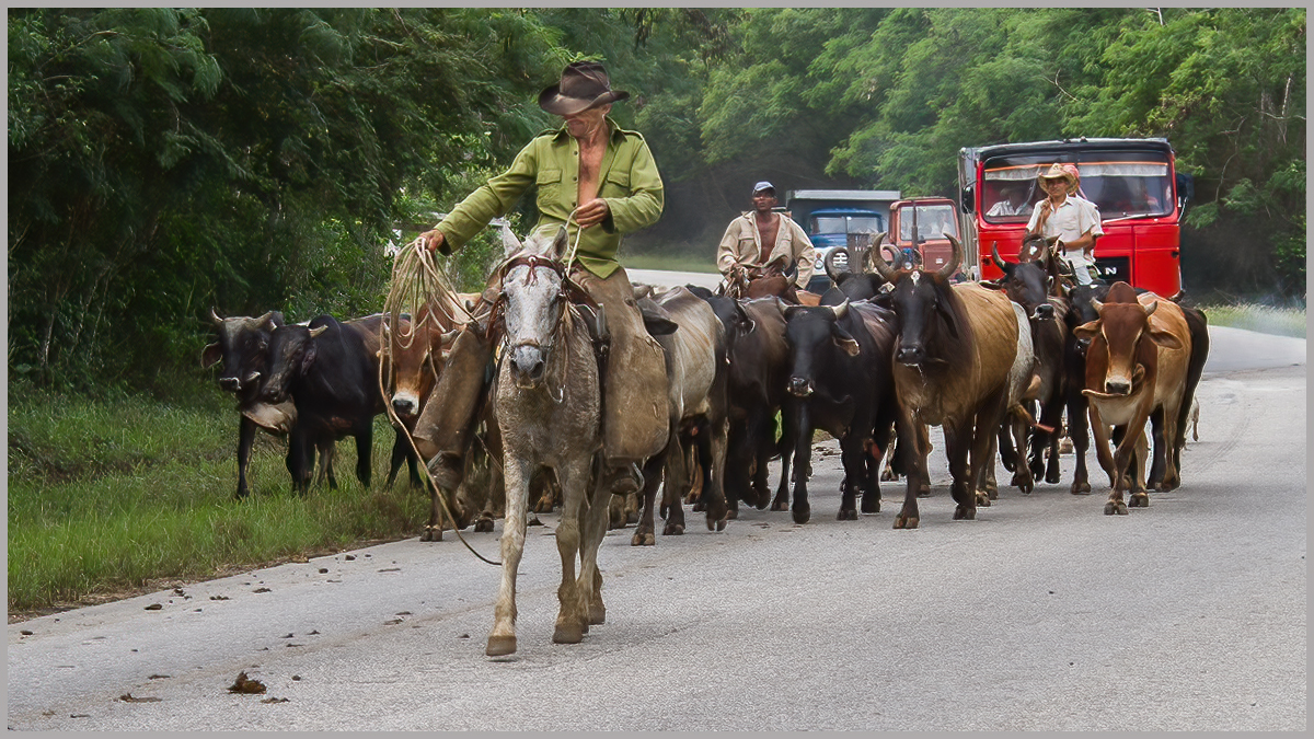 Cuba Cowboys