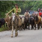 Cuba Cowboys