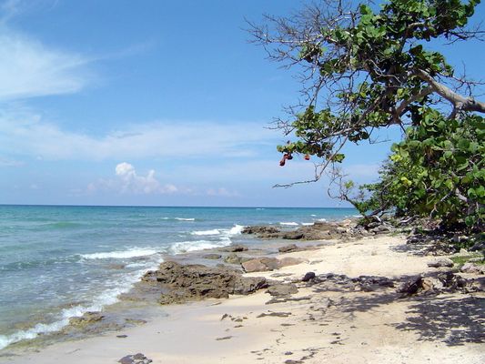 Cuba, la plage