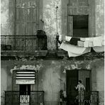 Cuba Life VII