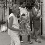 Cuba Life VIII