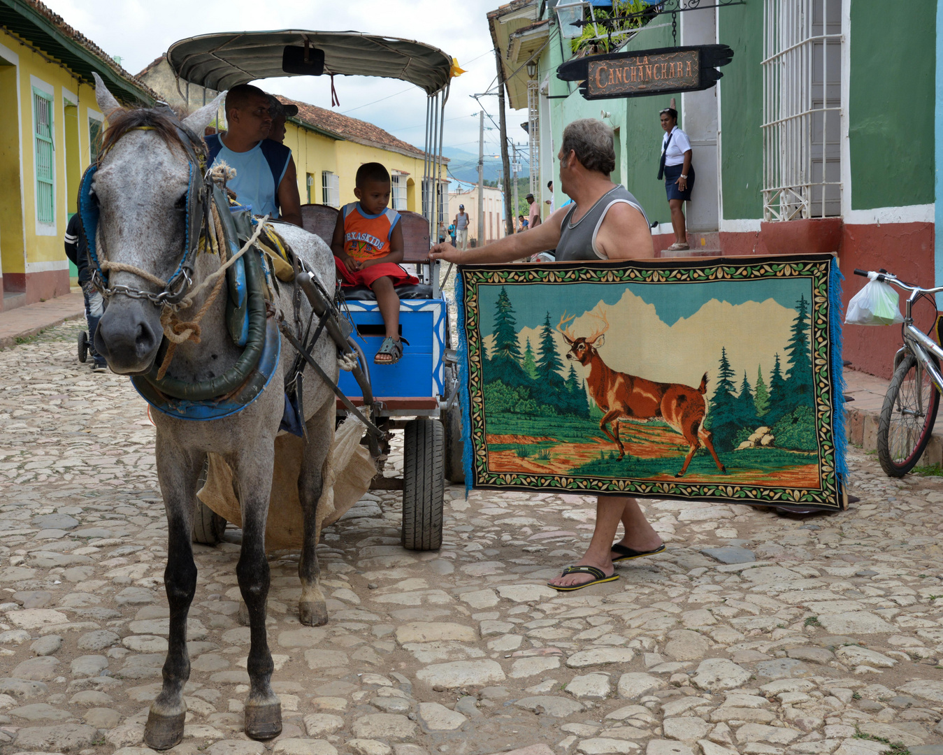 Cuba, röhrender Hirsch