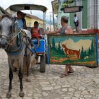 Cuba, röhrender Hirsch