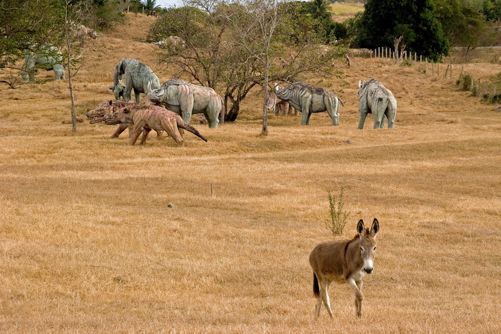 Cuba: Sozialistischer Jurassic Park bei Santiago de Cuba (1)