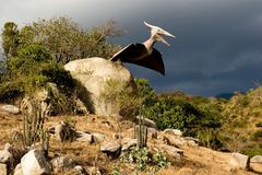 Cuba: Sozialistischer Jurassic Park bei Santiago de Cuba (2)