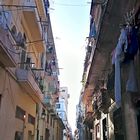 Cuba street 5
