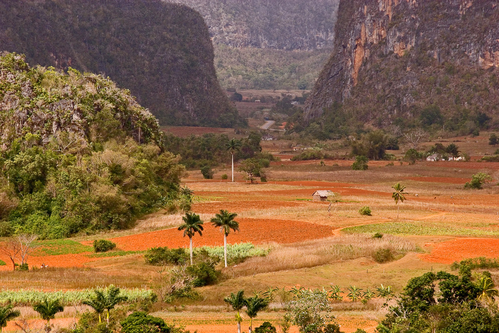 Cuba: Valle de Vinales (1)