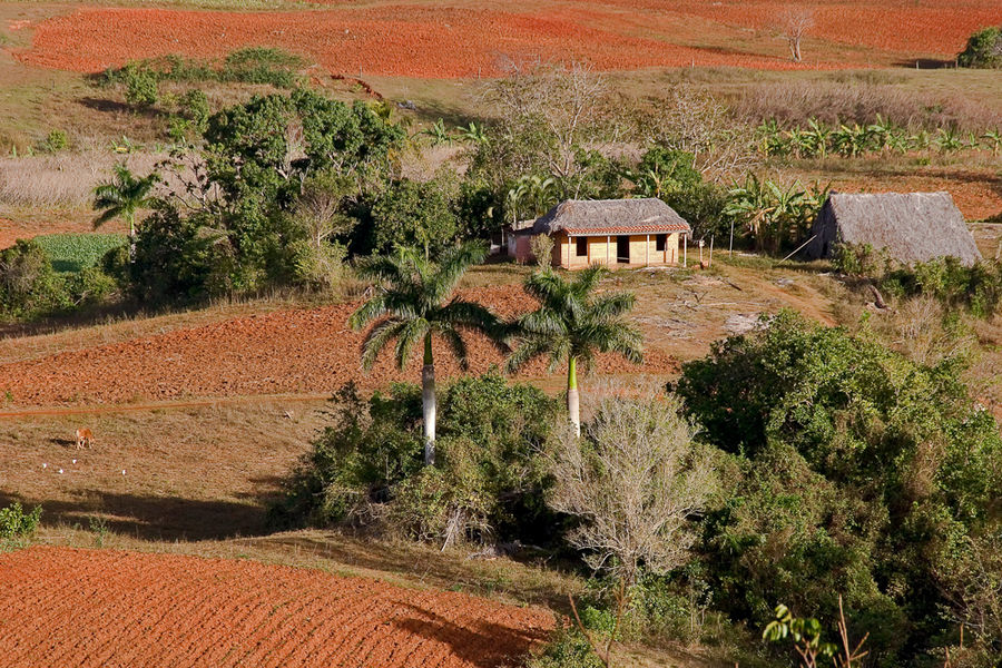 Cuba: Valle de Vinales (2)