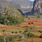 Cuba: Valle de Vinales (3)