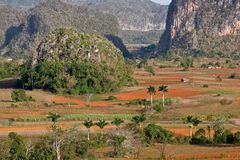 Cuba: Valle de Vinales (3)